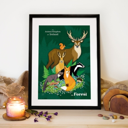 The Forest | Animal kingdom | Ireland